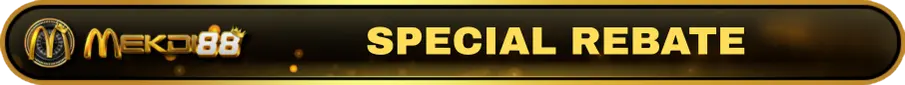 Special rebate offer today!